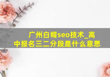 广州白帽seo技术_高中报名三二分段是什么意思
